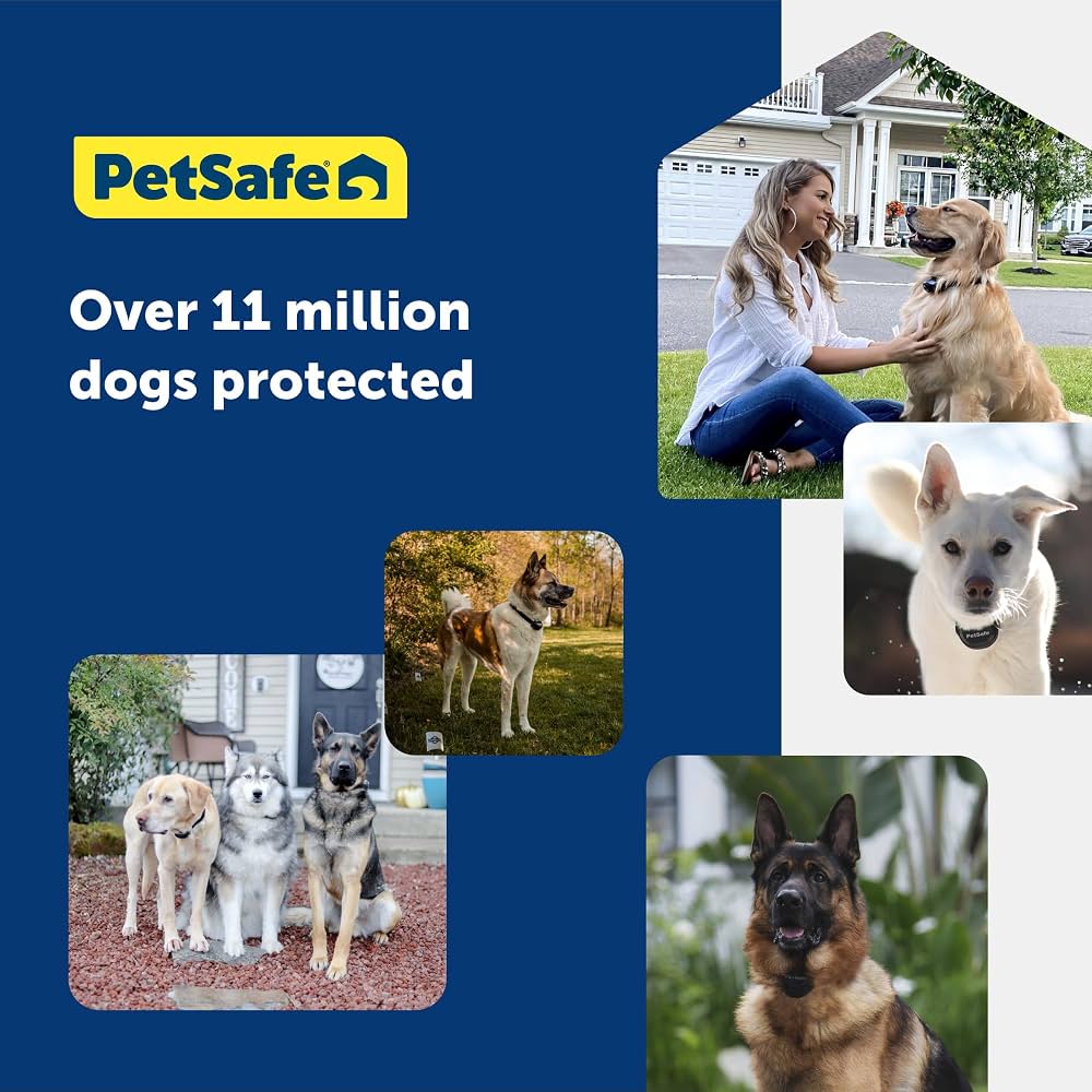 Collar për kafshë PetSafe me bateri të zëvendësueshme — foto 5
