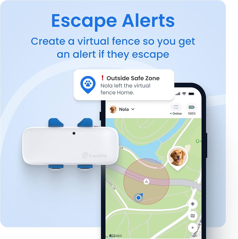 GPS Tracker për Qentë Tractive me Monitorim Aktiviteti — foto 3